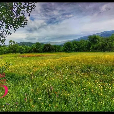 El Rincon De Lanchares Appartamento Sotillo de la Adrada