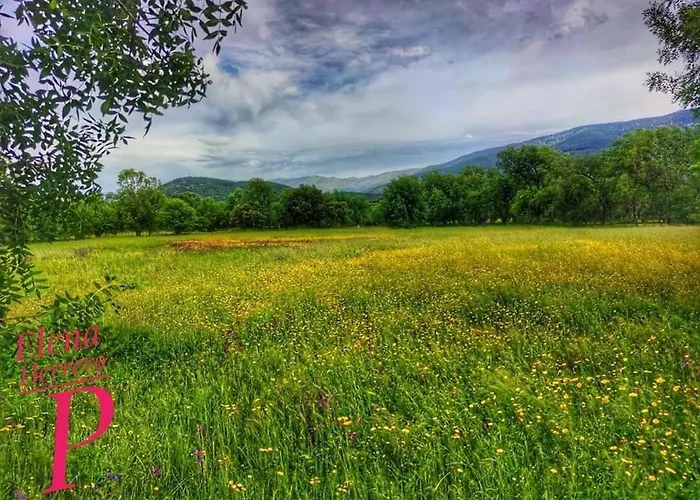 El Rincon De Lanchares 아파트 소티요 데 라 아드라다